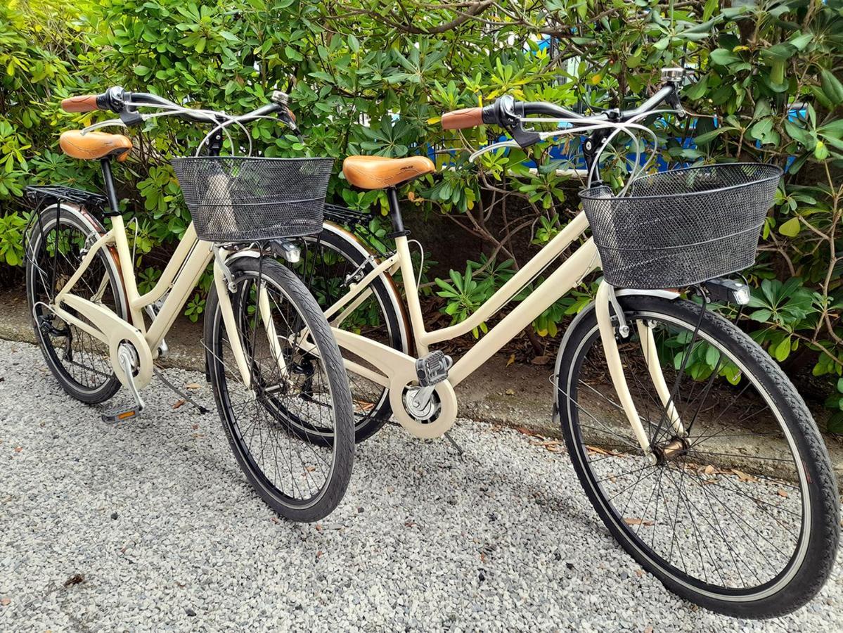 Apt Luminoso, Spazioso Con Aria Condiz E Bici Lejlighed Viareggio Eksteriør billede